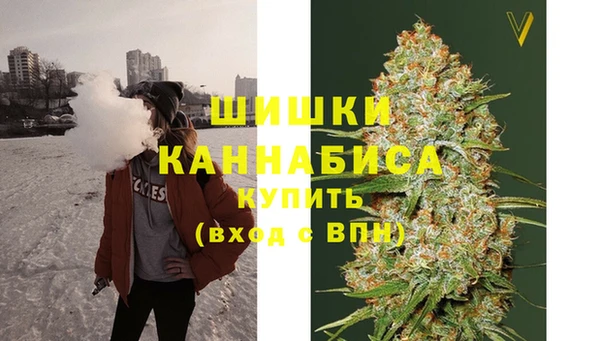 гашик Семилуки