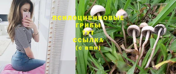 гидропоника Семёнов
