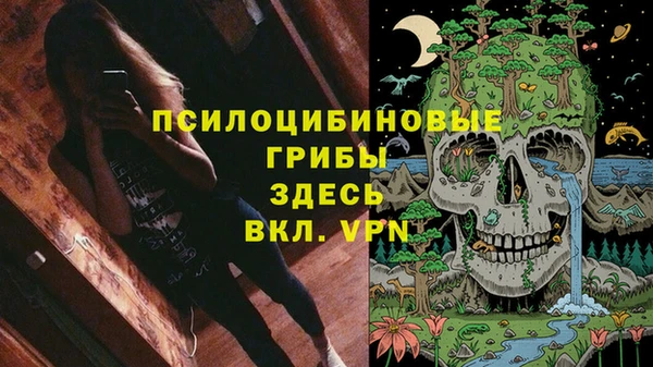 ГАЛЛЮЦИНОГЕННЫЕ ГРИБЫ Алексеевка