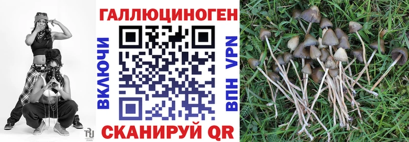 omg ONION  Избербаш  Галлюциногенные грибы прущие грибы 