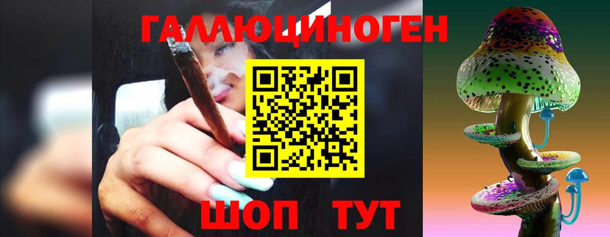 Псилоцибиновые грибы прущие грибы Избербаш